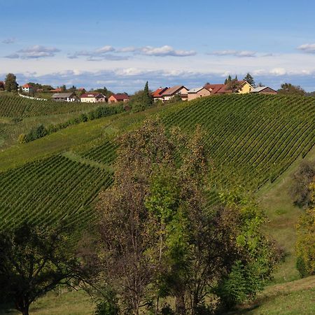 Wine & Tourism Bracko Bed & Breakfast Spodnji Jakobski Dol Dış mekan fotoğraf