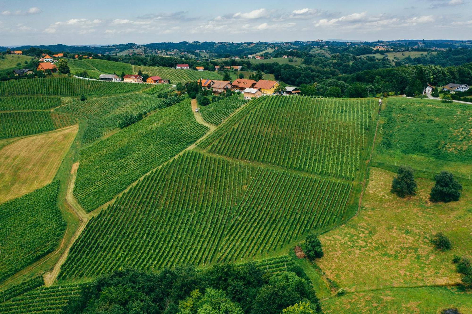 Wine & Tourism Bracko Bed & Breakfast Spodnji Jakobski Dol Dış mekan fotoğraf